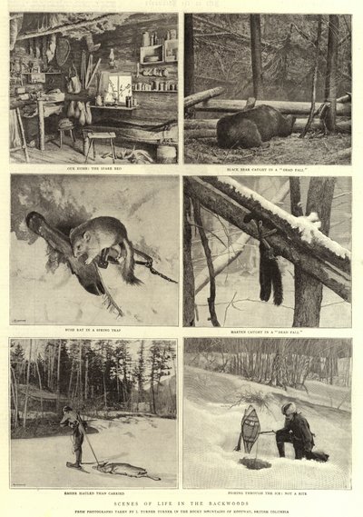 Életjelenetek a hátsó erdőben alkotó: English Photographer