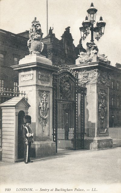 Őrszem a Buckingham-palotában alkotó: English Photographer