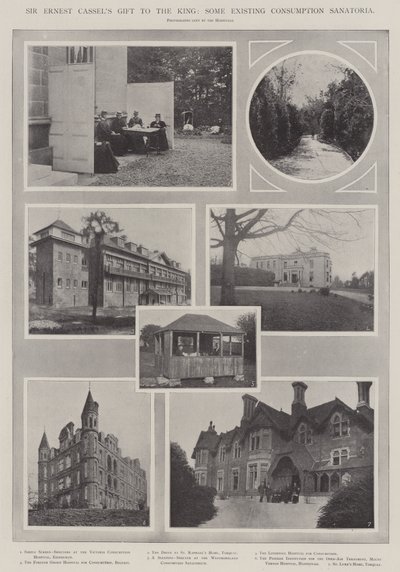 Sir Ernest Cassels ajándék a királynak, néhány létező fogyasztási szanatórium alkotó: English Photographer