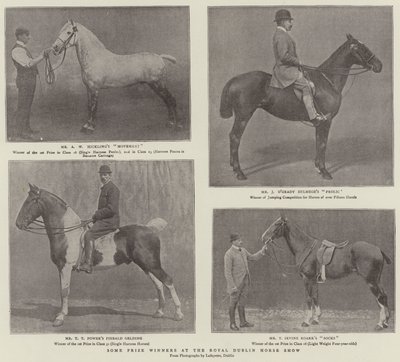Néhány díjnyertes a Royal Dublin Horse Show-n alkotó: English Photographer