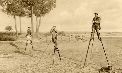 Gólyalábak (fekete-fehér fotó) alkotó: English Photographer