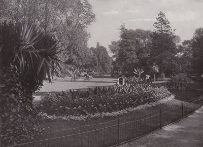 Szubtrópusi kertek, Battersea Park alkotó: English Photographer
