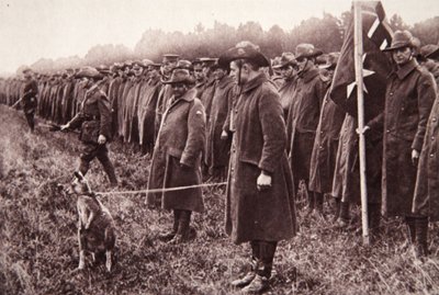 Az Anzac beszámolója a Salisbury Plainről: egy ausztrál kabala, illusztráció a The Illustrated War Newsból, 1916. szeptember 27. (szépia fotó) alkotó: English Photographer