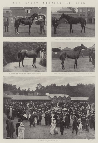 Az 1901-es ascoti találkozó alkotó: English Photographer