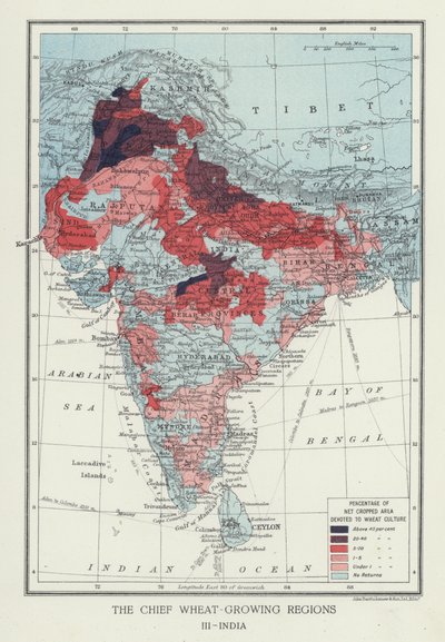 A fő búzatermesztő régiók, India (fotó) alkotó: English Photographer