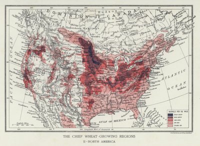 A legfontosabb búzatermő régiók, Észak-Amerika (fénykép) alkotó: English Photographer