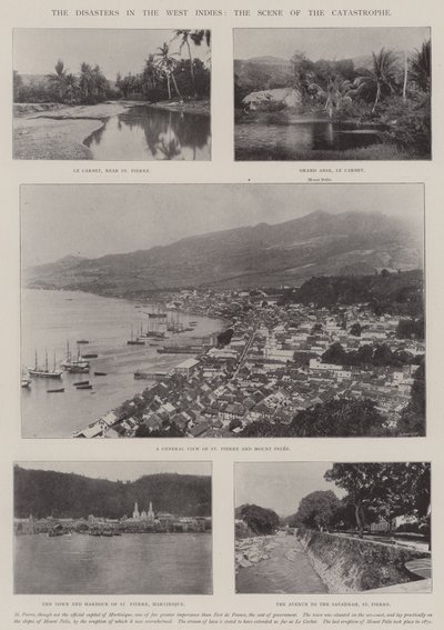 Katasztrófák Nyugat-Indiában, a katasztrófa színtere alkotó: English Photographer