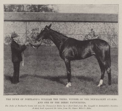 Portlands hercege, Vilmos Harmadik, a Newmarket Stakes győztese és a Derby egyik kedvence alkotó: English Photographer