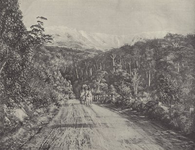 A Huon út alkotó: English Photographer