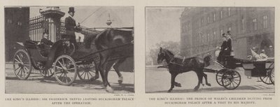 A királyok betegsége alkotó: English Photographer