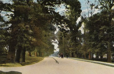 A Long Avenue, Coventry alkotó: English Photographer