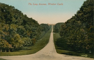 A Long Avenue, a windsori kastély Angliában. 1913-ban feladott képeslap. alkotó: English Photographer