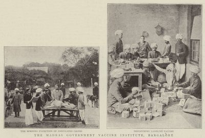 A Madras Kormányzati Vakcina Intézet, Bangalore alkotó: English Photographer