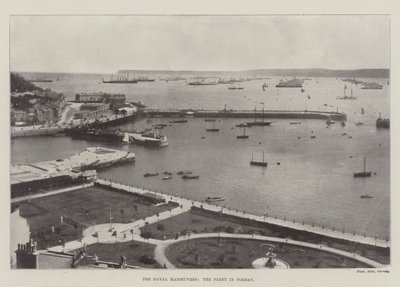 A haditengerészeti manőverek, a flotta Torbayban alkotó: English Photographer