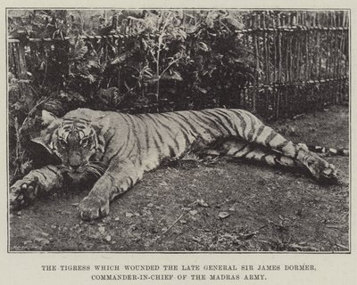 A Tigris megsebesítette a néhai Sir James Dormer tábornokot, a Madras-hadsereg főparancsnokát alkotó: English Photographer
