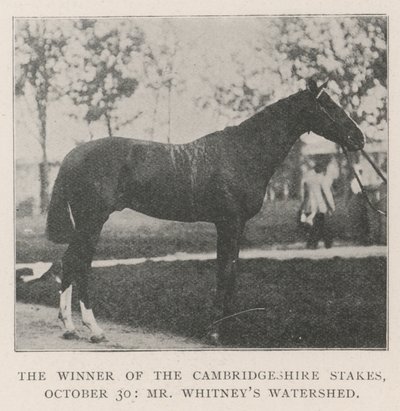 A Cambridgeshire-i tét győztese, október 30., Mr. Whitneys Watershed alkotó: English Photographer