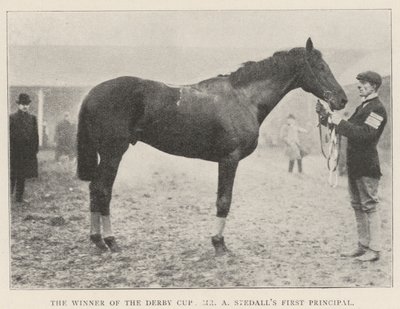 A Derby Kupa győztese, Mr. A Stedalls First Principal alkotó: English Photographer