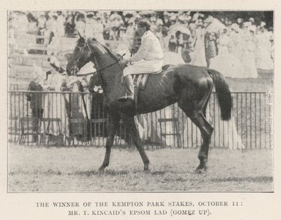 A Kempton Park Stakes győztese, október 11., Mr. T. Kincaids Epsom Lad (Gomez fel) alkotó: English Photographer