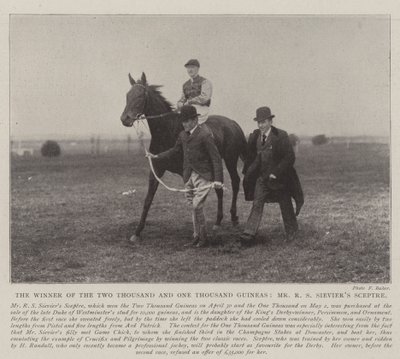 A kétezer-egyezer Guinea győztese, Mr. R. S. Sieviers Scepter alkotó: English Photographer