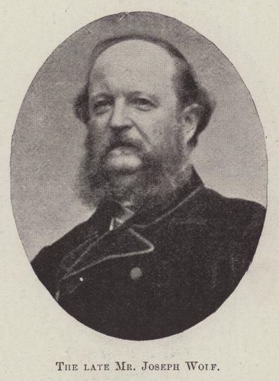 A néhai Wolf József úr alkotó: English Photographer