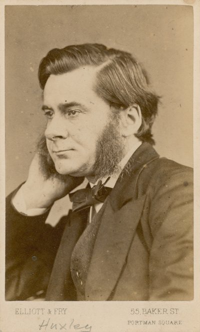 Thomas Henry Huxley alkotó: English Photographer