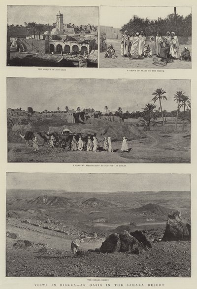 Kilátás Biskra, egy oázis a Szahara-sivatagban alkotó: English Photographer