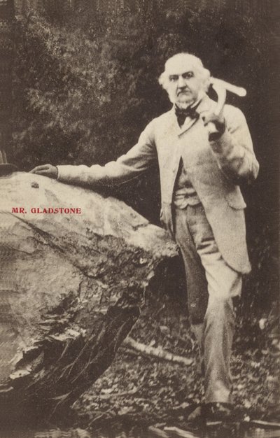 William Ewart Gladstone alkotó: English Photographer