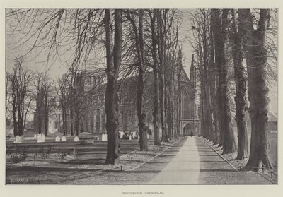 Winchester katedrális alkotó: English Photographer