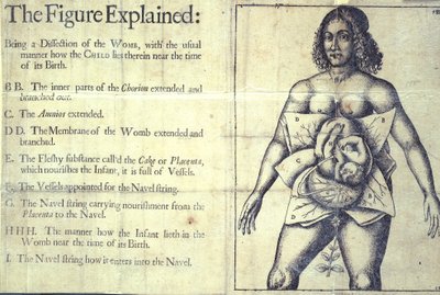 1177 b.19 "The Figure Explained", az anyaméh diagramja, "A szülésznők könyve vagy a szülésznői művészet teljes művészete felfedezett" című könyvéből, Jane Sharp, London alkotó: English School