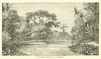 Egy bambusz híd Borneón alkotó: English School