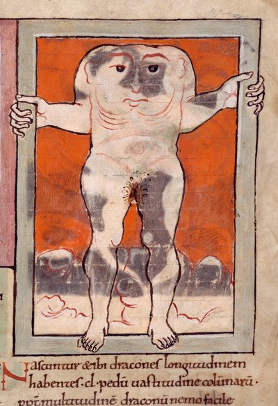 Blemmyae, illusztráció a Kelet csodáiból (vellum) alkotó: English School