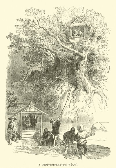 Egy szemlélődő láma alkotó: English School