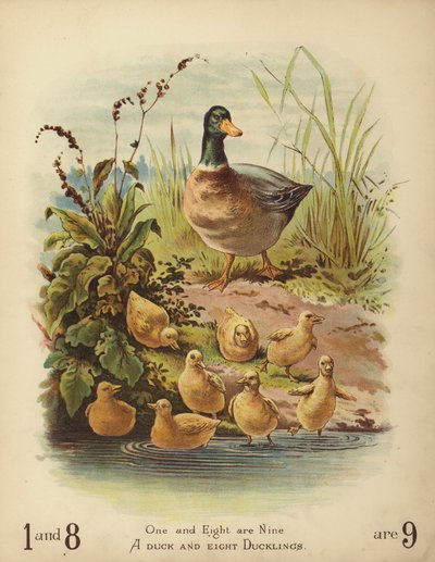Egy kacsa és nyolc kiskacsa (chromolitho) alkotó: English School