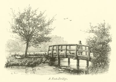 Gyaloghíd alkotó: English School