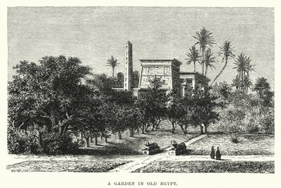 Egy kert a régi Egyiptomban (metszet) alkotó: English School