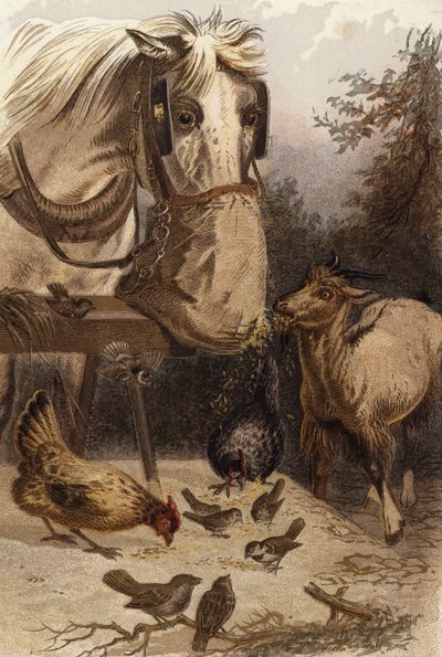 Lyuk a zsákban alkotó: English School