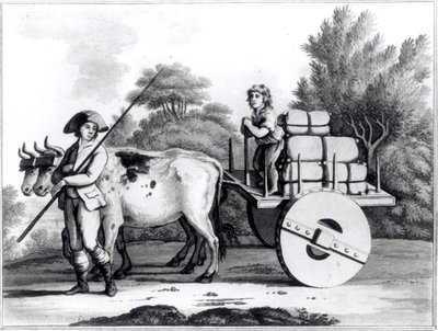 Portugál farm, James Murphy Portugália államának általános képe című művéből, 1797-ben alkotó: English School