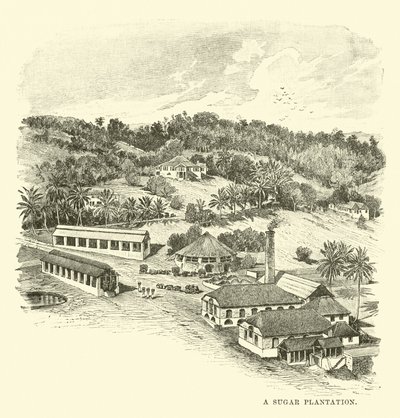 Cukorültetvény alkotó: English School