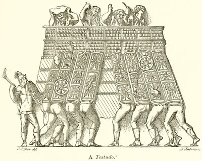 Testudónak alkotó: English School