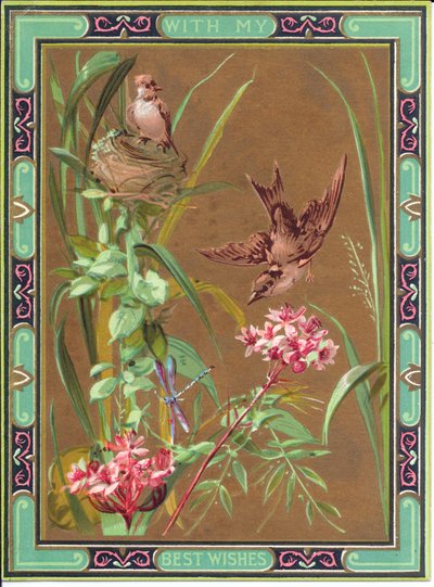 Egy viktoriánus üdvözlőkártya egy szitakötőt üldöző madárról és egy madárról a fészkén, 1880 körül alkotó: English School