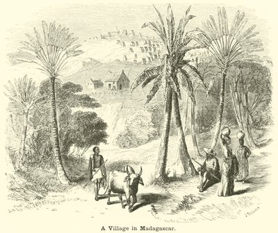 Egy falu Madagaszkáron alkotó: English School