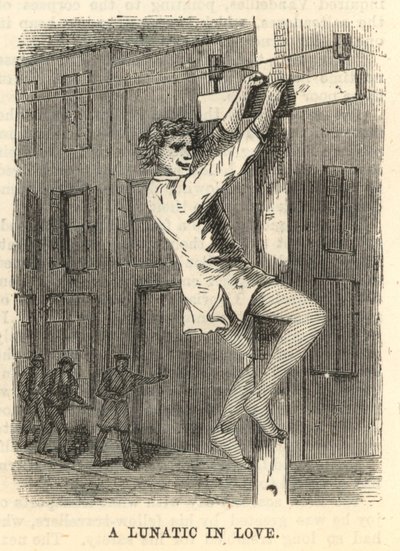 Szerelmes őrült alkotó: English School
