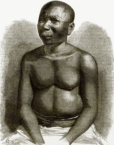 Az Andamán-szigeteken őshonos alkotó: English School