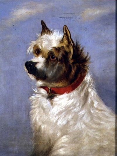Vörös galléros terrier alkotó: English School