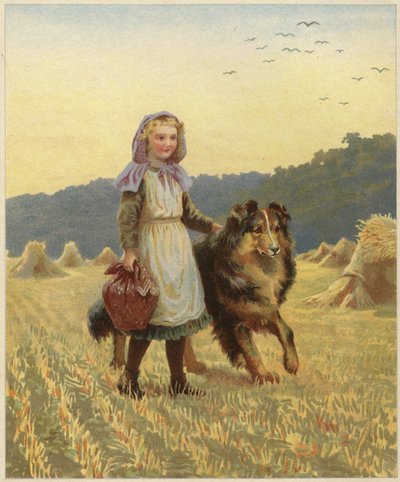 Egy fiatal lány állt a mezőn, kezét a collie kutyáján alkotó: English School
