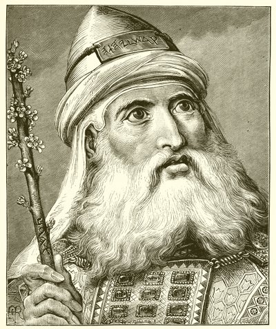 Áron alkotó: English School