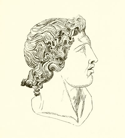 Aktív szellem, erő és fontosság alkotó: English School