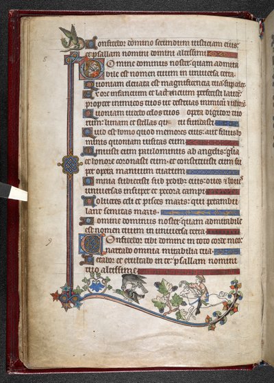Add hozzá MS 24686, f.14v, Póni fiú sólyomvadász kacsával, c.1284-1316 (vellum) alkotó: English School