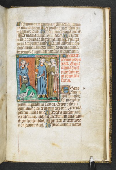 Adja hozzá az MS 47680, f.65r Arisztotelész a királyhoz hozott madarakra mutat, Secretum Secretorum, c.1326-27 (vellum) alkotó: English School