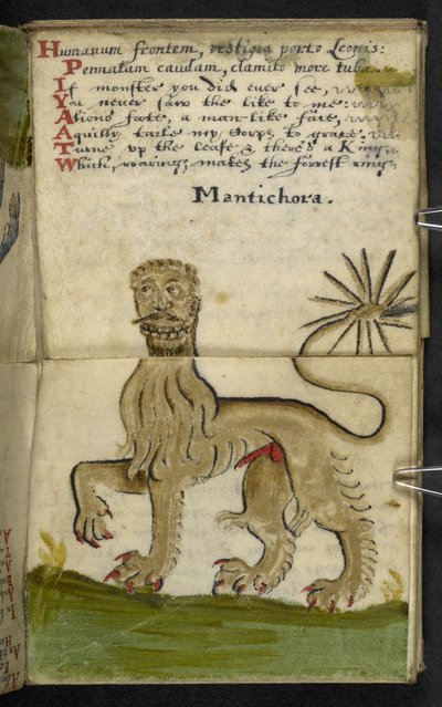 Adja hozzá az MS 57312 f.11 játékkönyvet (tinta és szín a pergamen) alkotó: English School